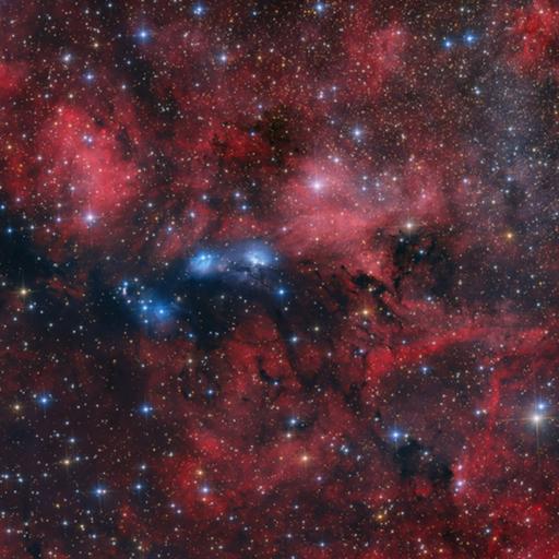 1417. NGC 6914 星雲複合體 ft. 阿錕 (20250919)