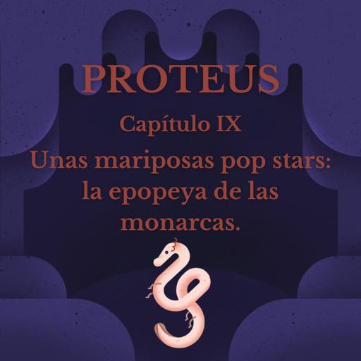 Unas mariposas pop stars: la epopeya de las monarcas