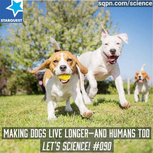 Making Dogs Live Longer—And Humans Too