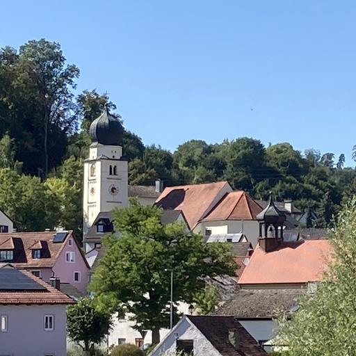 Möhren in Mittelfranken