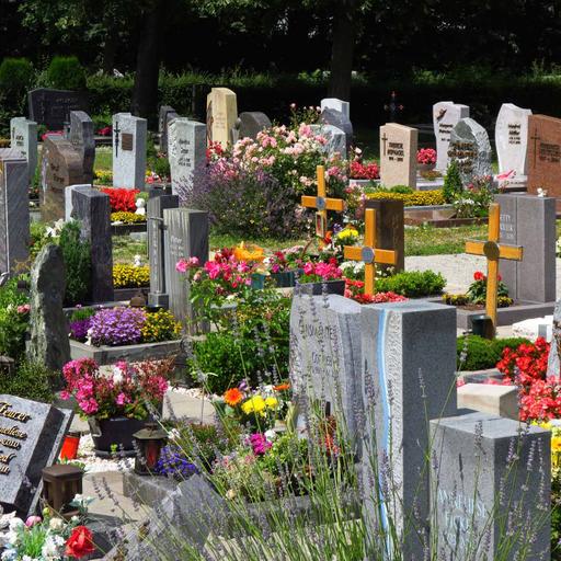 Ist der Tod im Trend?