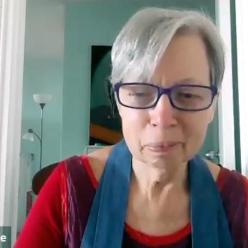 2025-11-02 | Dharma Talk | Living in a Polarized World: Cultivation of the Delusion of Separation | Rosemarie Gardella Gates