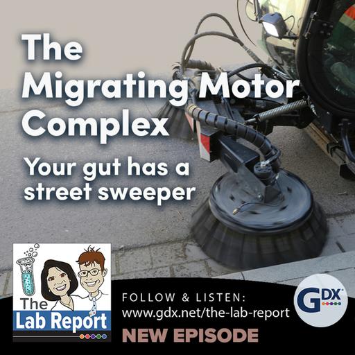 The Migrating Motor Complex
