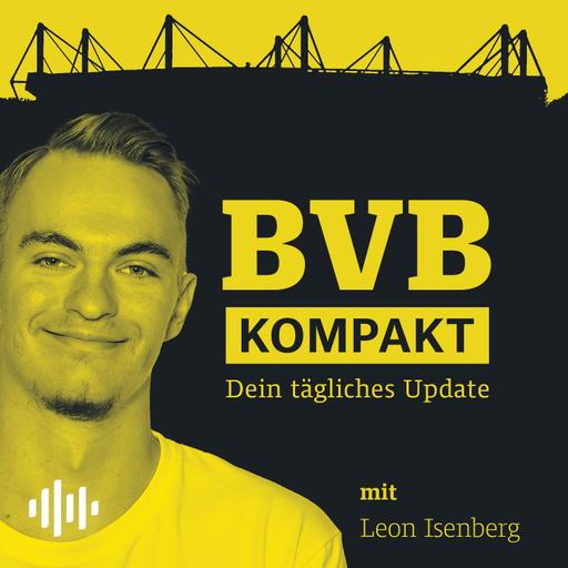 BVB siegt in Leverkusen! | Nächster Guirassy-Aufreger! | Sonderlob für Adeyemi