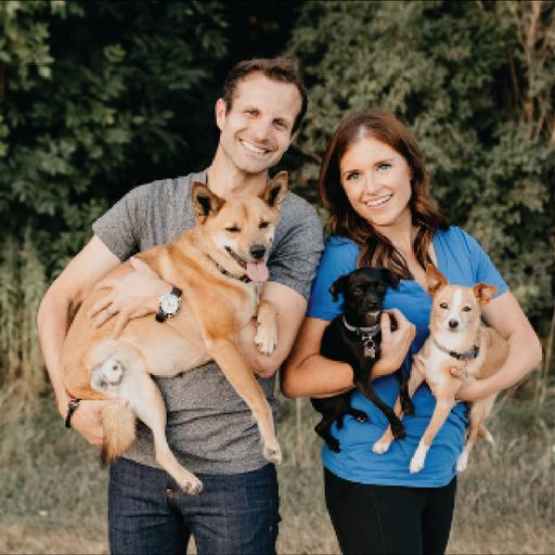 How to Choose a Dog Trainer
