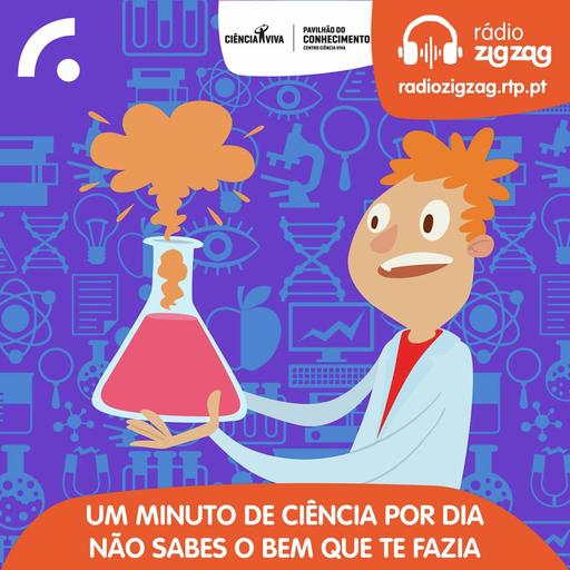 O oceano está a ficar mais escuro?