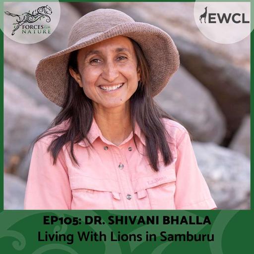 Living With Lions in Samburu with Shivani Bhalla, Ep.105
