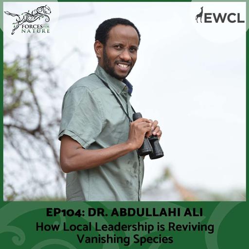 How Local Leadership is Reviving Vanishing Species with Dr. Abdullahi Ali, Ep.104