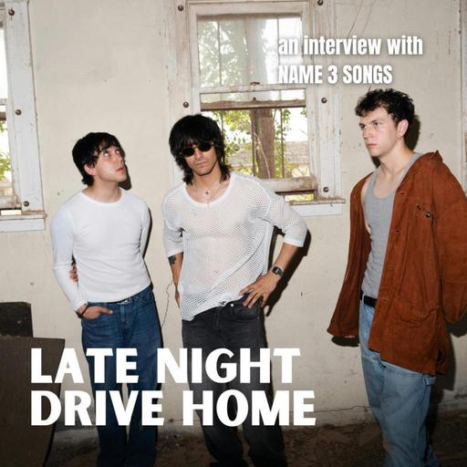 [INTERVIEW] The Pros & Cons of the Internet with Late Night Drive Home