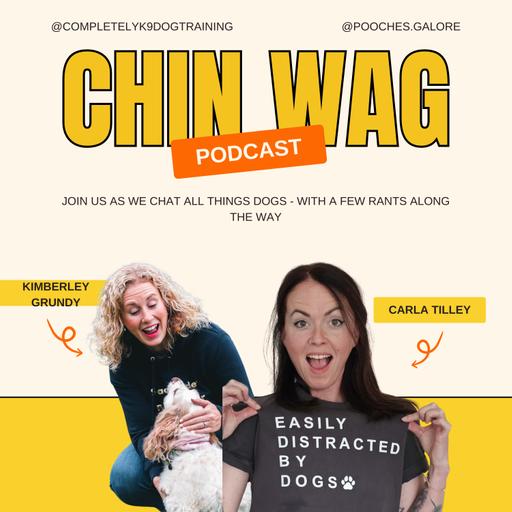 Surviving the Teenage Dog Years: Understanding Canine Adolescence