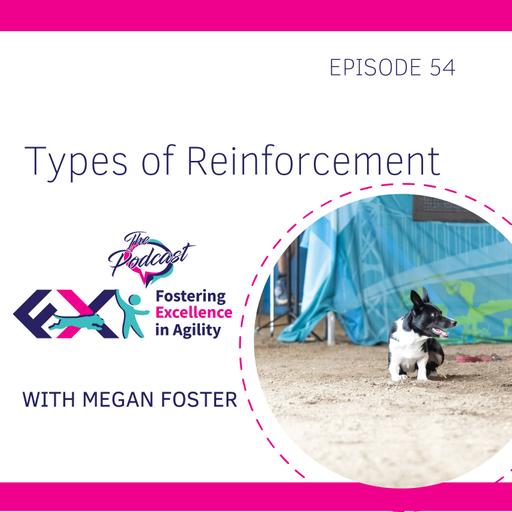 Types of Reinforcement