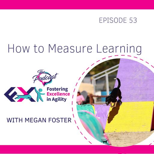 Ways to Measure Learning