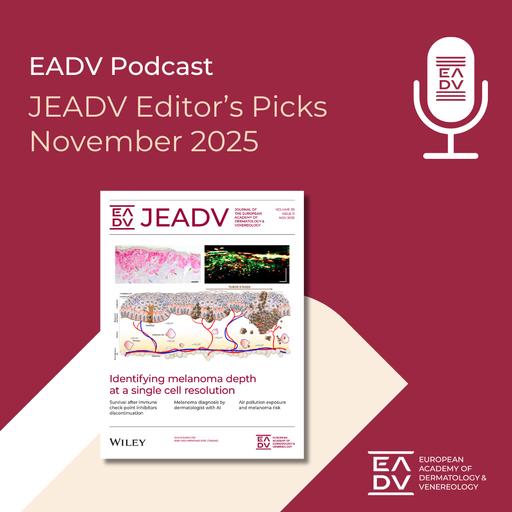 E149: Editor’s Picks November 2025