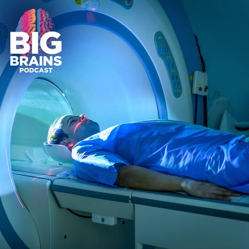 How Full-Body MRIs Could Predict Your Long-Term Health, with Daniel Sodickson