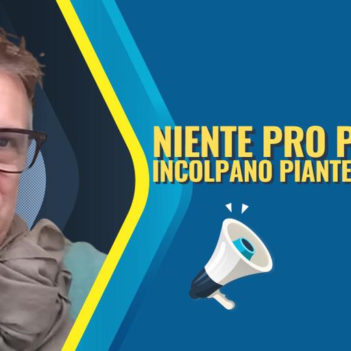 Fermi tutti, i Pro Pal attaccano la Stampa e la colpa è di… Piantedosi!