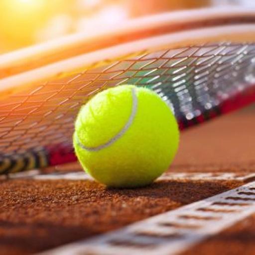 Sinner wiederholt seinen ATP-Finals-Titel - Deutsche Tennis-Frauen abgestiegen