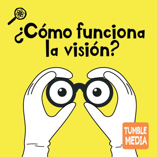 ¿Cómo funciona la visión?