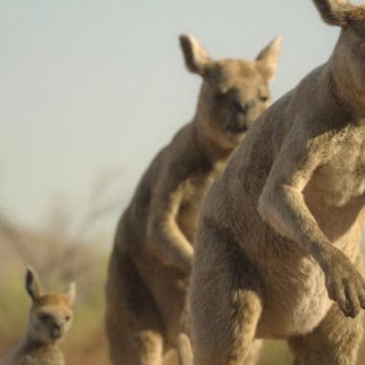 At Last: The Prehistoric Planet Ice Age We Dreamed Of