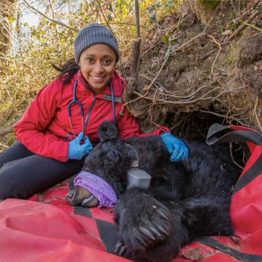 The Wild Life of Dr. Rae Wynn-Grant