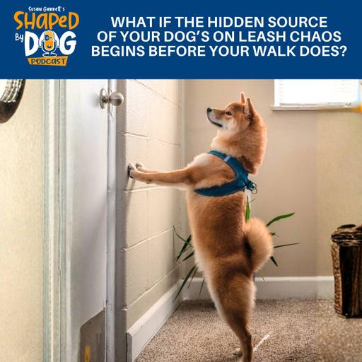 What If The Hidden Source Of Your Dog's On Leash Chaos Begins BEFORE Your Walk Does? #318