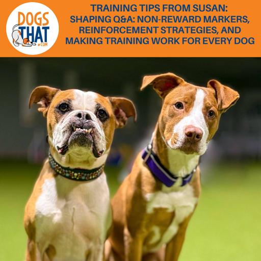 Training Tips From Susan: Shaping Q&A: Non-Reward Markers, Reinforcement Strategies, And Making Training Work For Every Dog