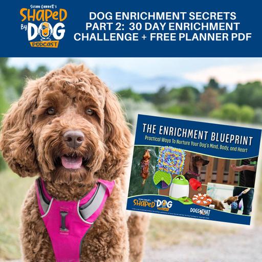 Dog Enrichment Secrets Part 2: 30 Day Enrichment Challenge + Free Planner PDF #315