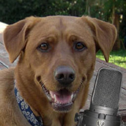 Glen Hatchell: dog trainer, behaviorist–“Ask The Trainer”–15th Edition