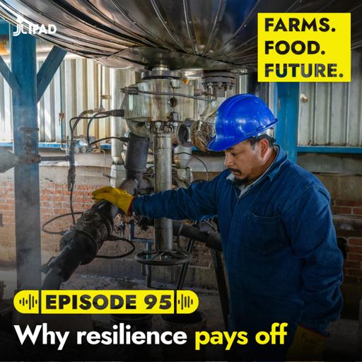 Why resilience pays off