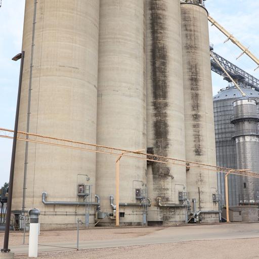 Ear to the Ground 389: See Something, Say Something