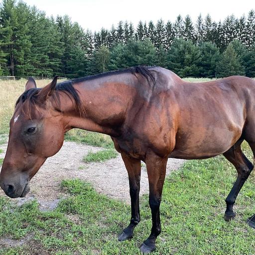 The Talking Dead #727: Hodge-podge