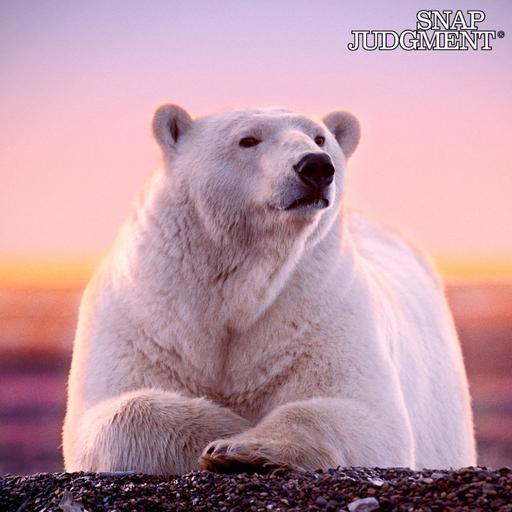 Not So Tiny Dancer - Snap Classic