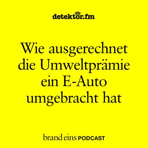 Wie ausgerechnet die Umweltprämie ein E-Auto umgebracht hat