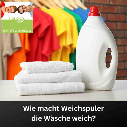 Wie macht Weichspüler die Wäsche weich?
