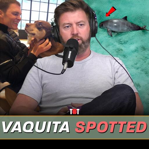 Ultra-Rare Vaquita Spotted with New Babies