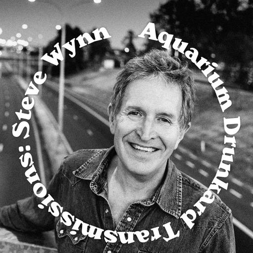Transmissions :: Steve Wynn (The Dream Syndicate)