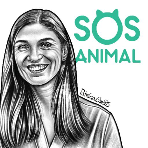 Abandono animal, Vegans, Caça e Tourada | À conversa com Sandra Duarte Cardoso