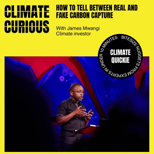 How to tell between real and fake carbon capture, with James Mwangi