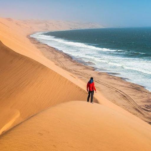 Namibia Safari: From the Sossusvlei Dunes to the Skeleton Coast