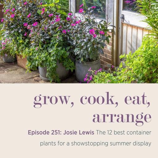 Josie Lewis: The 12 best container plants for a showstopping summer display - Episode 251