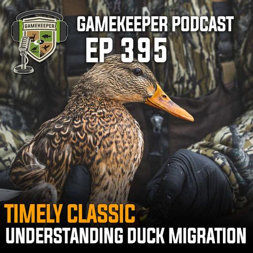 EP:395 | [Timely Classic 119] Understanding Duck Migration