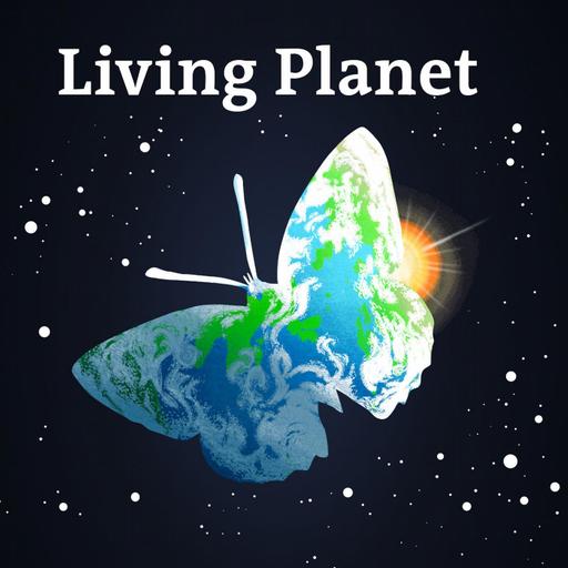 The Switch 3 | Bill McKibben: One big thing is going right