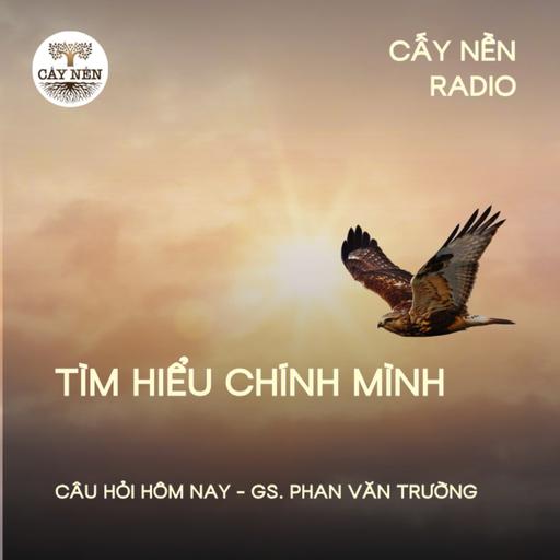 Tìm hiểu chính mình | GS Phan Văn Trường | Giọng đọc: Đặng Hằng | Cấy Nền Radio