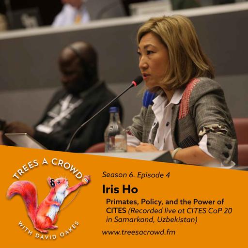 Iris Ho: Primates, Policy, and the Power of CITES