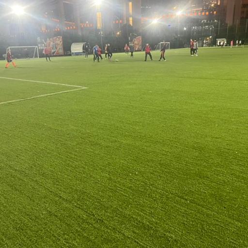 疯狂动物城的大火。