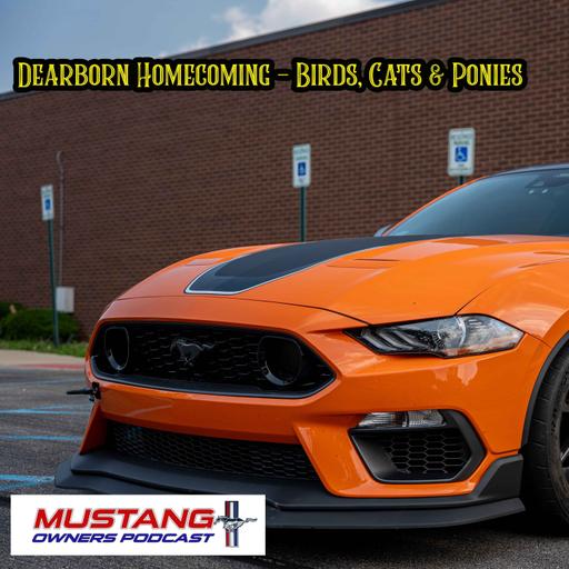 Birds, Cats & Ponies - Dearborn Homecoming