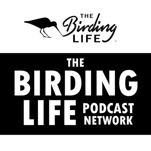 TBL Podcast Season 12 Bonus Epsiode - A very birdy Christmas