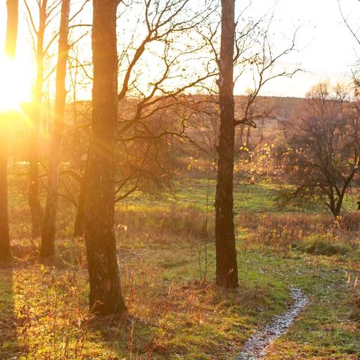 253: Less Thinking, More Action for Greater Well-Being