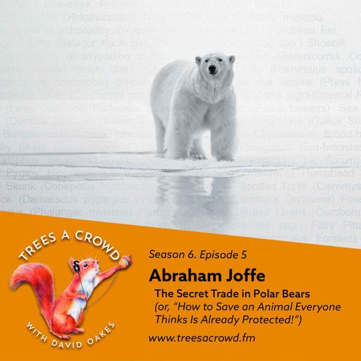 Abraham Joffe: The Secret Trade in Polar Bears (or, “How to Save an Animal Everyone Thinks Is Already Protected!”)
