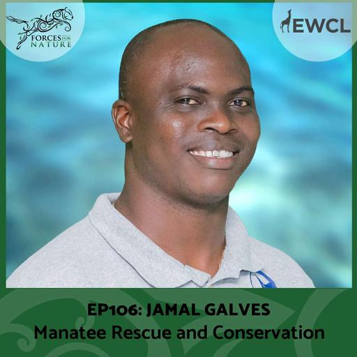 Manatee Rescue and Conservation with Jamal Galves, Ep.106