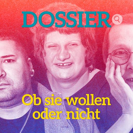 Brennpunkt Erwachsenenvertretung